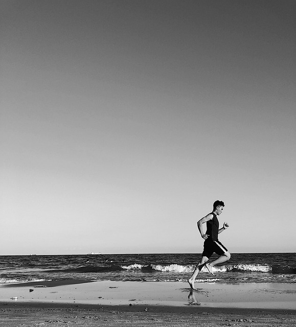 Fitness and Meal Planner